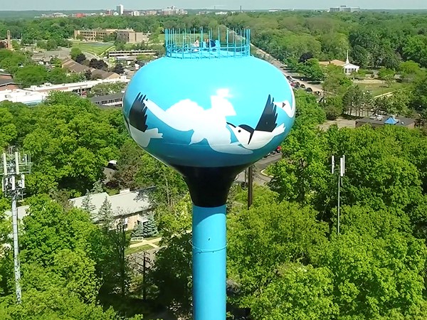 Победитель конкурса на самое красочное оформление водонапорной башни взмывает в небо вместе с птицами, нарисованными на нем