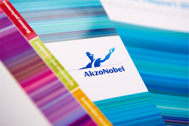 Цели, поставленные компанией AkzoNobel на 2013 год, достигнуты