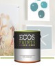 «Ecos Paints» становятся первыми в индустрии, публикующие материалы о здоровье 