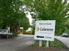 Производитель Celanese начинает производство на новом предприятии ВАЭ в Сингапуре 