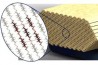 Устойчивость лакокрасочных материалов к царапинам благодаря нанокристаллам целлюлозы повышаются